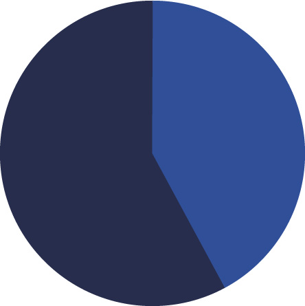 CV Manufacturing Home Vs Export Pie Chart.jpg