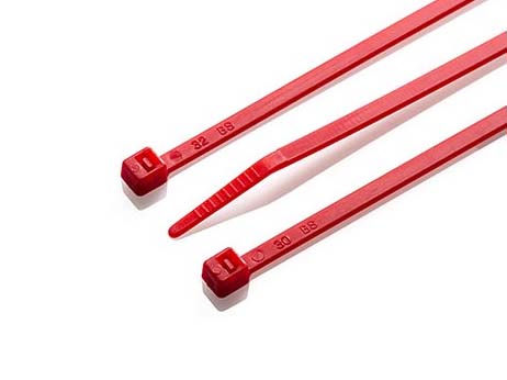 100 X 2.5mm Red Cable Ties Main Image