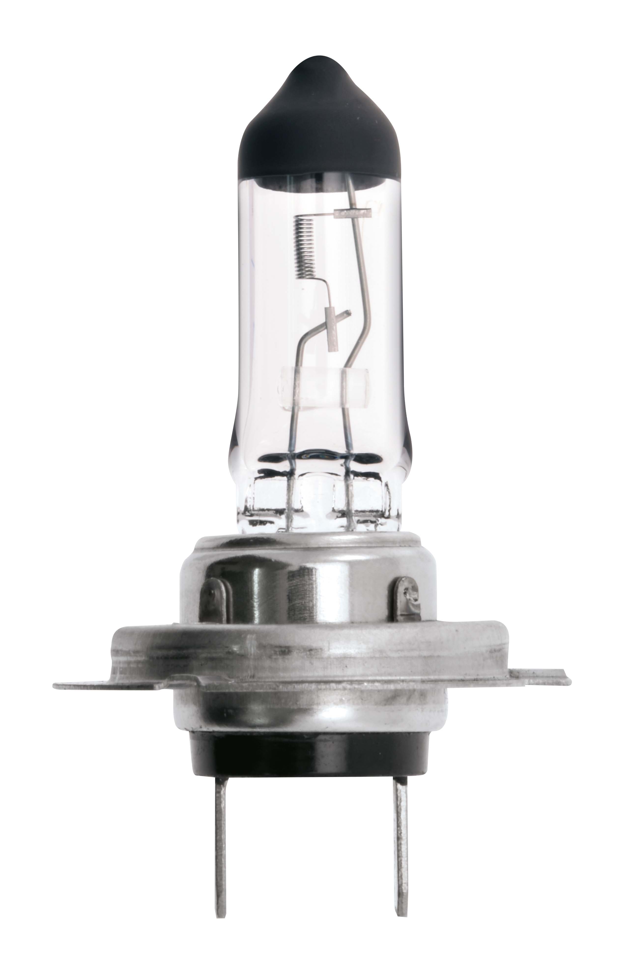 12v, 100w Halogen Bulb With A Px26d Base Main Image