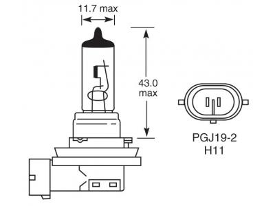 12v, 55w Halogen Bulb With A Pgj19-2 Base Technical Image