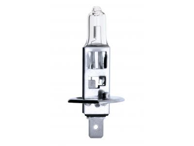 12v, 55w Halogen Bulb With A P14,5s Base Slide Image