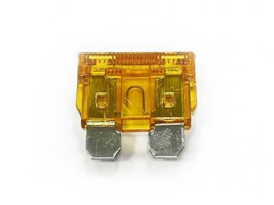 5 Amp Standard Blade Fuse Slide Image