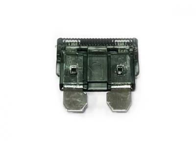 1 Amp Standard Blade Fuse Slide Image