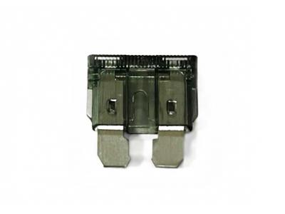 2 Amp Standard Blade Fuse Slide Image